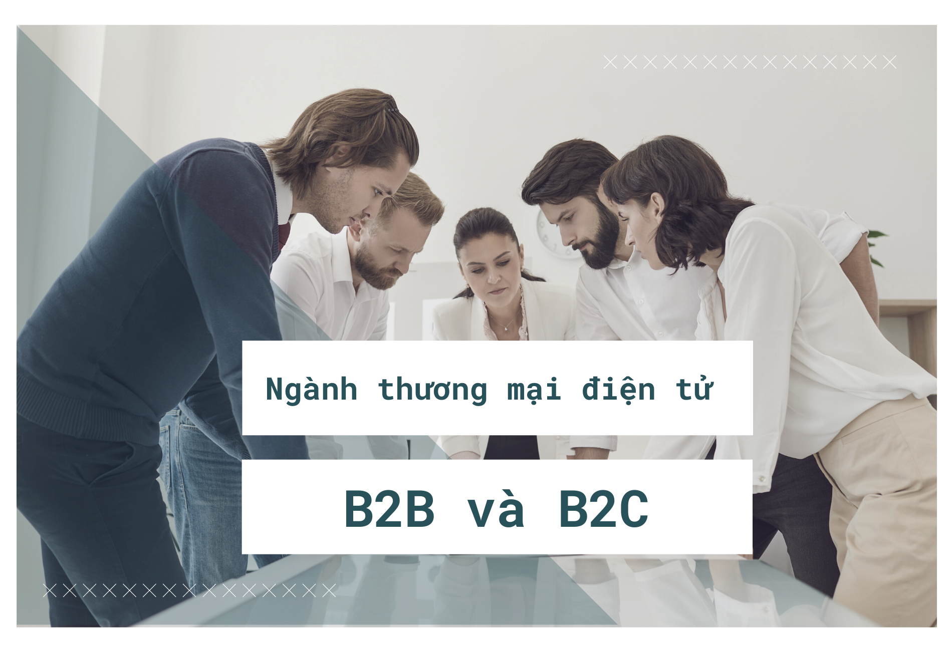 ngành thương mại điện tử B2B và B2C
