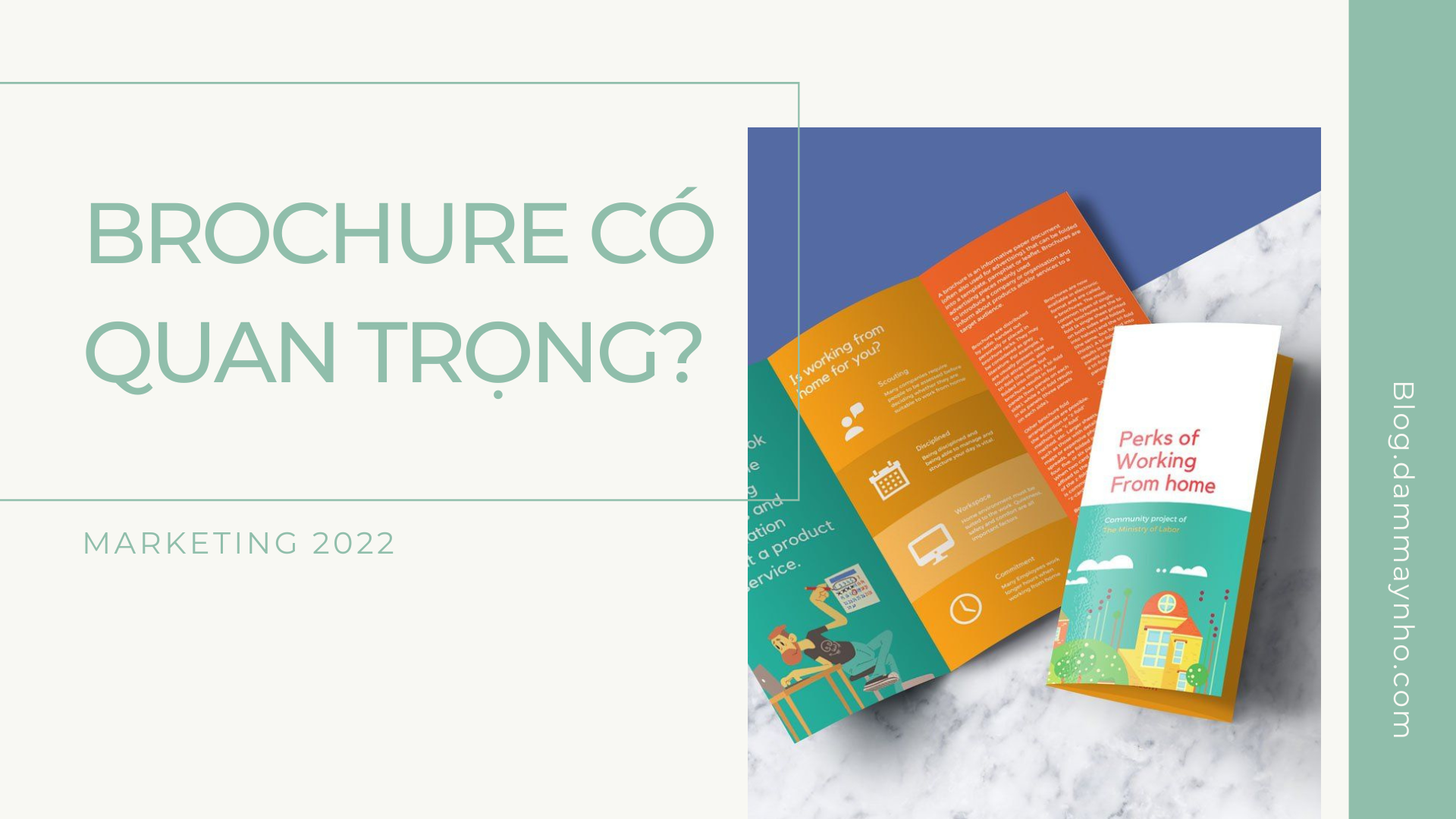 Brochure