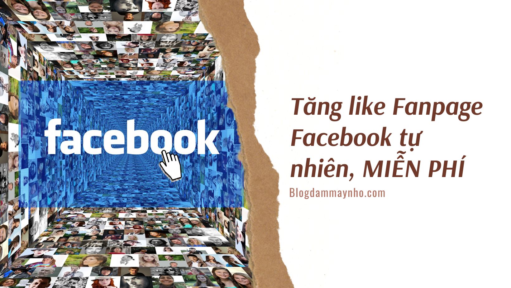 Tăng like Fanpage Facebook
